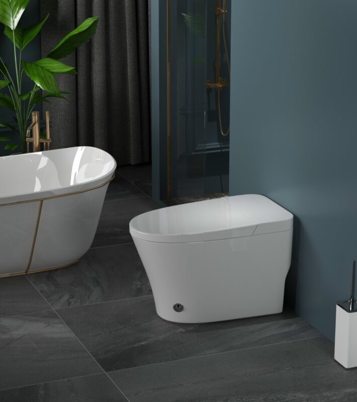 Thiết bị vệ sinh giá rẻ – Kho buôn tổng nội thất Miền Nam