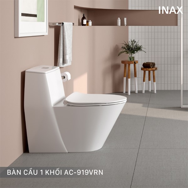 Bồn cầu Inax AC - 919VRN