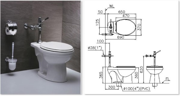 Bồn cầu Caesar CT1333