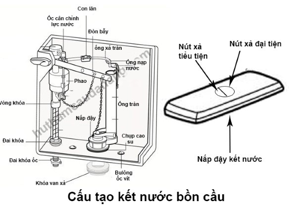 Két giữ nước trong cấu tạo bồn cầu 1 khối